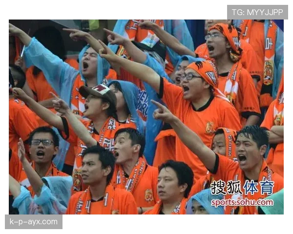 奥地利球迷激情助阵,球队状态回升冲击新辉煌 奥地利球迷激情助阵,球队状态回升冲击新辉煌