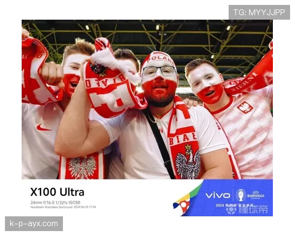 多特蒙德信号公园备战欧洲杯,球迷热情高涨引关注 多特蒙德信号公园备战欧洲杯,球迷热情高涨引关注